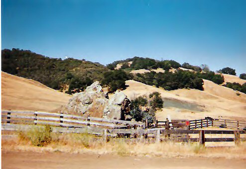 Looking up at Cypress Mountain from below.